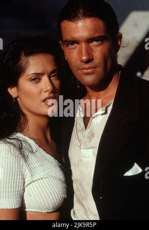 Salma Hayek & Antonio Banderas Film: Desperado (USA 1995) Charaktere: Carolina & El Mariachi Regie: Robert Rodriguez 25. August 1995 **WARNUNG** Dieses Foto ist nur für redaktionelle Zwecke bestimmt und unterliegt dem Copyright von COLUMBIA PICTURES und/oder des Fotografen, der von der Film- oder Produktionsfirma beauftragt wurde und darf nur von Publikationen im Zusammenhang mit der Bewerbung des oben genannten Films reproduziert werden. Eine obligatorische Gutschrift für COLUMBIA PICTURES ist erforderlich. Der Fotograf sollte auch bei Bekanntwerden des Fotos gutgeschrieben werden. Ohne schriftliche Genehmigung der Film Company kann keine kommerzielle Nutzung gewährt werden. Stockfoto