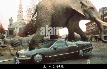 Elefant tramples on Car Film: Jumanji (USA 1995) Regie: Joe Johnston 15 December 1995 **WARNUNG** Dieses Foto ist nur für redaktionelle Zwecke bestimmt und unterliegt dem Copyright von TRISTAR-BILDERN und/oder dem Fotografen, der von der Film- oder Produktionsfirma beauftragt wurde, und kann nur von Publikationen im Zusammenhang mit der Bewerbung des oben genannten Films reproduziert werden. Eine obligatorische Gutschrift für TRISTAR-BILDER ist erforderlich. Der Fotograf sollte auch bei Bekanntwerden des Fotos gutgeschrieben werden. Ohne schriftliche Genehmigung der Film Company kann keine kommerzielle Nutzung gewährt werden. Stockfoto