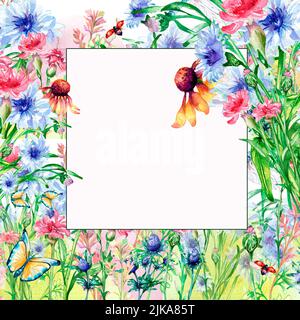 Rahmen mit Wiese bunte Blumen Aquarell Illustration isoliert. Wildblumen, blaue Kornblume, Marienkäfer handbemalt. Grasland Designelemente für Stockfoto
