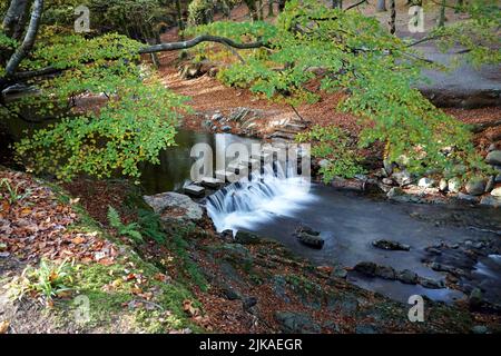 Langzeitaufnahme der Stepping Stones am Shimna River im Tollymore Forest Park, County Down, Nordirland Stockfoto