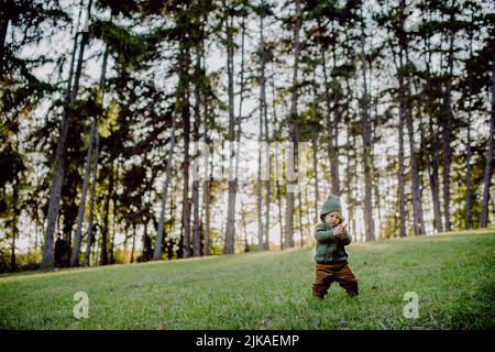 Porträt eines niedlichen kleinen Jungen mit gestricktem Hoodie im nautre Herbstkonzept. Stockfoto