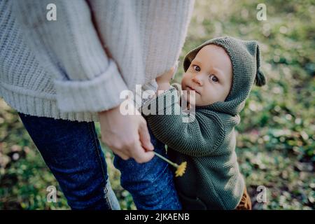 Mutter hält beim Gehen in der Natur die Hände ihres kleinen Sohnes, das Konzept der ersten Schritte des Babys. Stockfoto