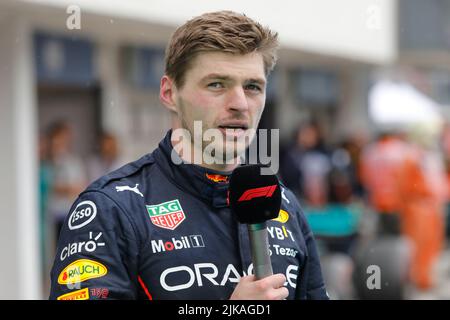 Mogyorod, Ungarn. Juli 31. 2022. Formel 1 großer Preis von Ungarn in Hungaroring, Ungarn. Im Bild: Max Verstappen (NLD) von Red Bull Racing © Piotr Zajac/Alamy Live News Stockfoto