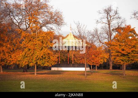 Herbstszene mit Greenwich Park Bandstand in London, England Stockfoto