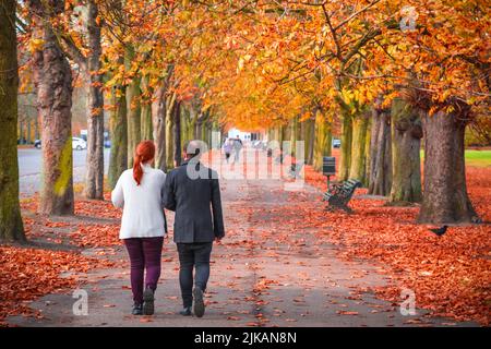 Ein Paar, das während der Herbstsaison in London, England, auf einem baumbesäumten Pfad im Greenwich Park spazierengeht Stockfoto