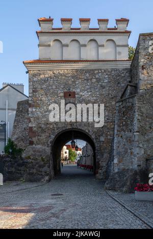 Stiftskirche St. Martin in Opatów, Polen. Stockfoto