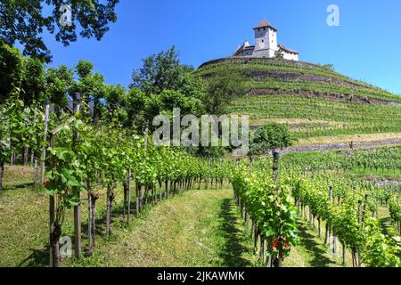 Schloss Gutenberg ragt über den Weinbergen in Balzers Gemeinde Liechtenstein. Stockfoto