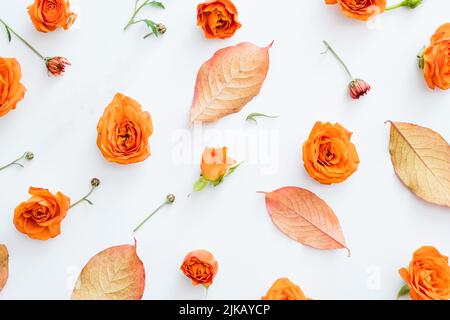 Kreative Blumenarrangement weißen Hintergrund Stockfoto