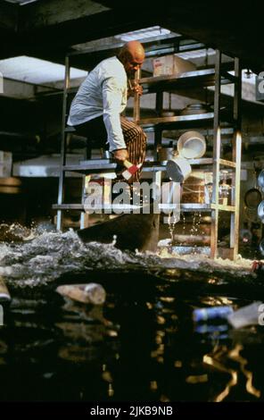 LL Cool J & Shark Film Deep Blue Sea (USA/aus 1999) Charaktere: Sherman 'Preacher' Dudley & Regisseur: Renny Harlin 26. Juli 1999 **WARNUNG** dieses Foto ist nur für redaktionelle Zwecke bestimmt und ist urheberrechtlich geschützt von WARNER BROS. Und/oder dem von der Film- oder Produktionsgesellschaft beauftragten Fotografen und dürfen nur durch Veröffentlichungen in Verbindung mit der Werbung für den oben genannten Film reproduziert werden. Eine obligatorische Gutschrift an WARNER BROS. Ist erforderlich. Der Fotograf sollte ebenfalls angerechnet werden, wenn er bekannt ist. Ohne schriftliche Genehmigung der Film Company kann keine kommerzielle Nutzung gewährt werden. Stockfoto