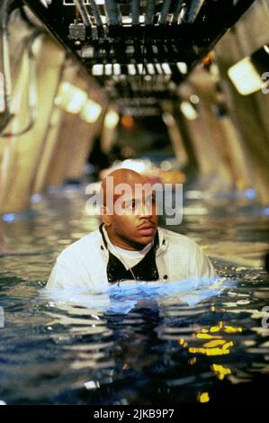 LL Cool J Film Deep Blue Sea (USA/aus 1999) Charaktere: Sherman 'Preacher' Dudley / James Todd Smith Regie: Renny Harlin 26. Juli 1999 **WARNUNG** dieses Foto ist nur für redaktionelle Zwecke bestimmt und ist urheberrechtlich geschützt von WARNER BROS. Und/oder dem von der Film- oder Produktionsgesellschaft beauftragten Fotografen und dürfen nur durch Veröffentlichungen in Verbindung mit der Werbung für den oben genannten Film reproduziert werden. Eine obligatorische Gutschrift an WARNER BROS. Ist erforderlich. Der Fotograf sollte ebenfalls angerechnet werden, wenn er bekannt ist. Ohne schriftliche Genehmigung der Film Company kann keine kommerzielle Nutzung gewährt werden. Stockfoto