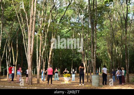 Marília, São Paulo, Brasilien, - 17. Juli 2022: Menschen, die Yoga-Kurs im öffentlichen Wald der Stadt, Panoramafoto Stockfoto