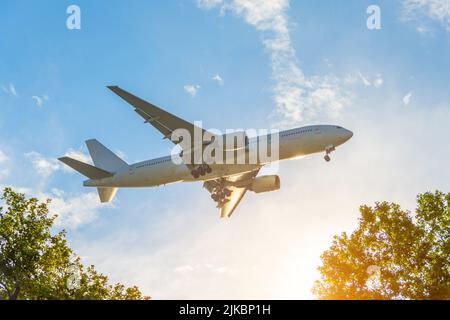 Flugzeug fliegt während des Sonnenuntergangs über den Bäumen Stockfoto