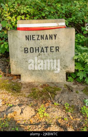 Das Grab eines unbekannten polnischen Soldaten im Zweiten Weltkrieg im Cytadela-Park Stockfoto