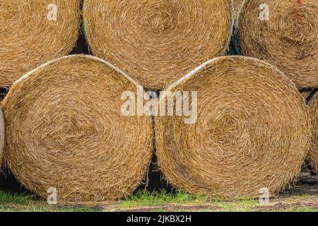 Artikeldetails Heuballen am Rande des Feldes nach der Ernte. Strohballen nebeneinander. Und Heu zu Strohballen gepresst. Strukturen von trocken gehen Stockfoto