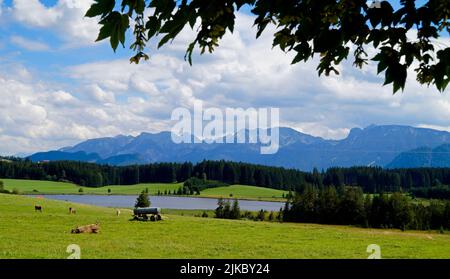 Wanderweg mit Blick auf den malerischen Attlesee in den bayerischen Alpen, Nesselwang, Allgäu oder Allgau, Deutschland Stockfoto
