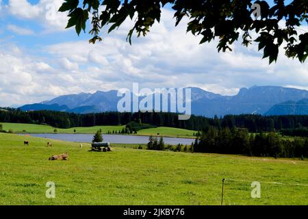 Wanderweg mit Blick auf den malerischen Attlesee in den bayerischen Alpen, Nesselwang, Allgäu oder Allgau, Deutschland Stockfoto