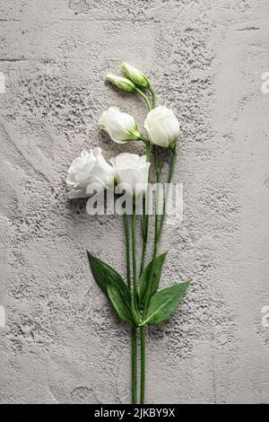 eustoma Blume auf grauem Beton Hintergrund Stockfoto