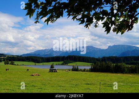 Wanderweg mit Blick auf den malerischen Attlesee in den bayerischen Alpen, Nesselwang, Allgäu oder Allgau, Deutschland Stockfoto
