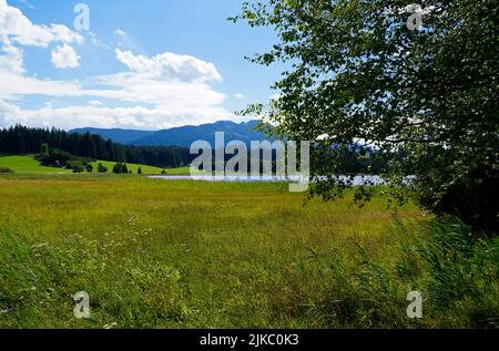 Wanderweg mit Blick auf den malerischen Attlesee in den bayerischen Alpen, Nesselwang, Allgäu oder Allgau, Deutschland Stockfoto