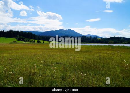 Wanderweg mit Blick auf den malerischen Attlesee in den bayerischen Alpen, Nesselwang, Allgäu oder Allgau, Deutschland Stockfoto
