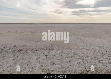 Ein getrockneter Salzsee in der Steppe Kasachstans. Dürre und Klimawandel. Stockfoto