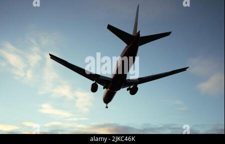 Die Silhouette eines Passagierflugzeugs, das vor dem Hintergrund des Sonnenuntergangs landet. Stockfoto