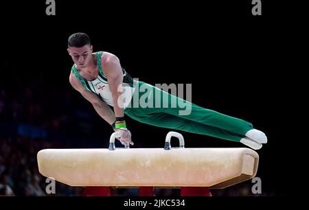 Der nordirische Rhys McClenaghan tritt am vierten Tag der Commonwealth Games 2022 in Birmingham beim Men's Pommel Horse Final in der Arena Birmingham an. Bilddatum: Montag, 1. August 2022. Stockfoto