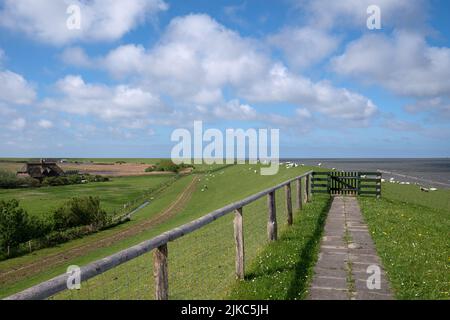 Panoramabild der Landschaft entlang der Deiche von Pellworm, Nordfriesland, Deutschland Stockfoto