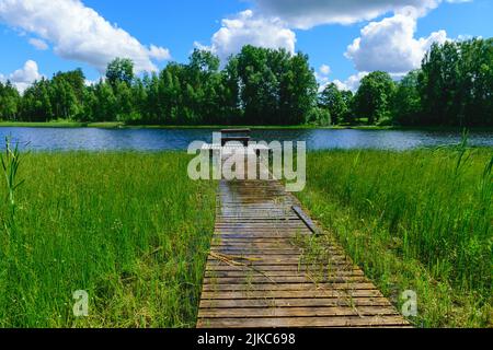 Hölzerne Fußgängerbrücken, sumpfiges Seeufer, Sumpfpflanzenvegetation, Bilska-See, Landkreis Smiltes, Lettland Stockfoto