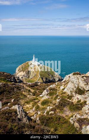 Der Leuchtturm von South Stacks vom Aufstieg zum Holyhead Mountain, Anglesey, Nordwales Stockfoto