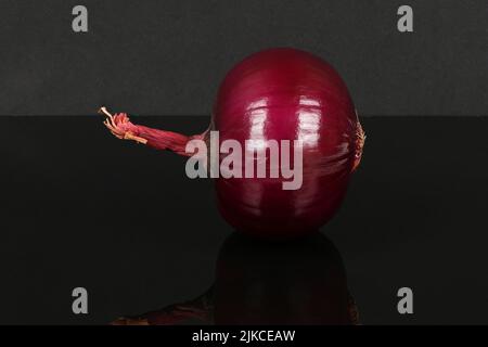 Rote Zwiebelbirne isoliert auf Acryl-schwarzem Hintergrund. Hochauflösendes Foto. Volle Schärfentiefe. Stockfoto