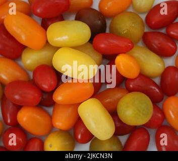 Hintergrund mit verschiedenen roten, orangefarbenen und gelben Tomaten im Vollformat Stockfoto