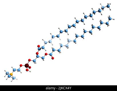 3D Aufnahme der Skelettformel von Palmitoyl-oleoyl-sn-Phosphatidylcholin - molekulare chemische Struktur von Phosphatidylcholin, isoliert auf weißem Backgroun Stockfoto