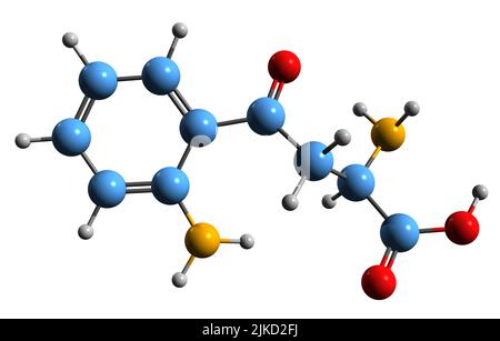 3D Bild der Kynurenin-Skelettformel - molekulare chemische Struktur des Tryptophan-Metaboliten, isoliert auf weißem Hintergrund Stockfoto