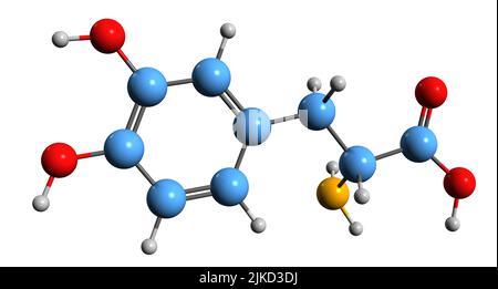 3D Bild der Skelettformel von Levodopa - molekulare chemische Struktur des psychoaktiven Medikaments auf weißem Hintergrund isoliert Stockfoto