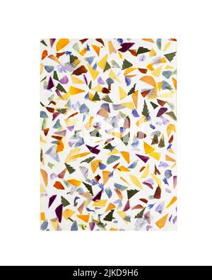 Zeitgenössische botanische Kunst von gepressten Blumen. Oshibana. Geometrische Zusammensetzung von getrockneten Pflanzen im memphis-Stil. Getrocknete Blütenblätter imitieren Terrazz Stockfoto
