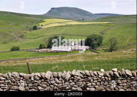 Pen-y-ghent Gipfel von Malham Moor, Yorkshire Dales National Park aus gesehen. Im Vordergrund ist die Neals ing Farm. Stockfoto