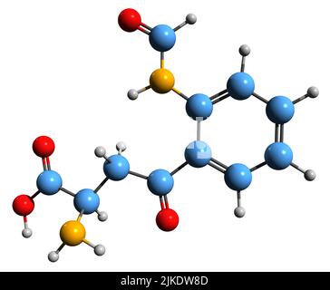 3D Bild der Skelettformel von N-Formylkynurenin - molekularchemische Struktur des auf weißem Hintergrund isolierten Metaboliten Stockfoto