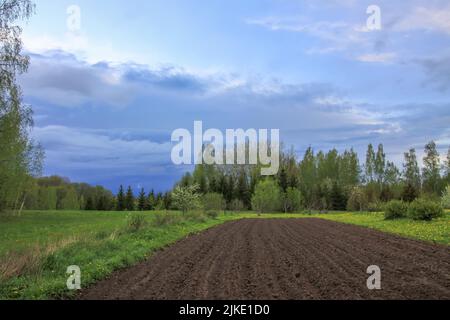 Frühlingslandschaft mit gepflügten Feldern und blühenden Dandelionen. Stockfoto