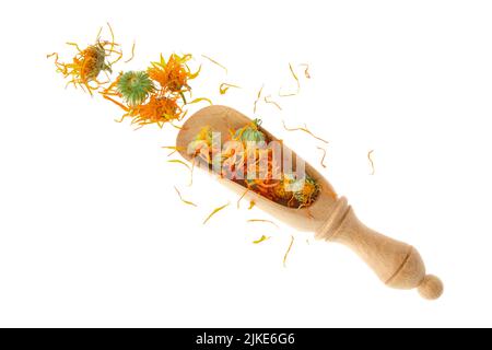 Holzlöffel getrockneter Ringelblumen, isoliert auf weißem Hintergrund. Blütenblätter von Ringelblumenblüten zur Herstellung von gesundem Kräutertee. Draufsicht. Stockfoto