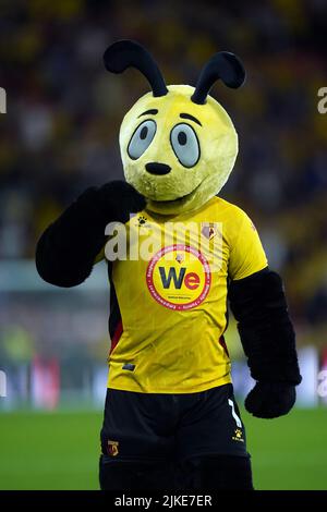 Watford Maskottchen Harry the Hornet während des Sky Bet Championship Spiels in der Vicarage Road, Watford. Bilddatum: Montag, 1. August 2022. Stockfoto