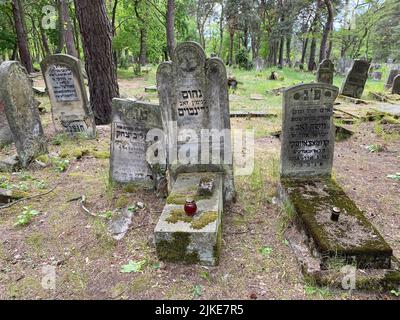 Ruinen des alten jüdischen Friedhofs in Otwock Polen cmentarz żydowski w Otwock Grabsteine jüdischer Friedhof jüdischer Friedhof beit kvarot jüdischer Grabstein Stockfoto