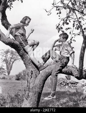 1930S TEENAGER JUNGE & MÄDCHEN REDEN SITZENDE BAUM MÄDCHEN ESSEN APFEL IN KURZEN HOSEN JUNGE IN BLAUEN JEANS HÖREN BLICK AUF HER - J2094 HAR001 HARS ALTE MODE SHORTS JUGENDLICH STIL FREUND BAUMWOLLE FREUDE LIFESTYLE FRAUEN LÄNDLICHEN GESUNDHEIT HAUS LEBEN KOPIE RAUM FREUNDSCHAFT IN VOLLER LÄNGE PERSONEN LANDWIRTSCHAFT MÄNNER TEENAGER MÄDCHEN TEENAGER JUNGE VERTRAUEN DENIM LANDWIRTSCHAFT B & W SOMMER GLÜCK FREIZEIT BAUERN ERHOLUNG OBSTGARTEN BEZIEHUNGEN VERBINDUNG BEWEGUNG VERSCHWIMMEN KONZEPTUELL FREUNDLICH TEENAGED APFELBAUM NACHDENKLICH BLAU JEANS ZUSAMMENARBEIT WACHSTUM INFORMELL PRE-TEEN PRE-TEEN JUNGE PRE-TEEN MÄDCHEN ZWEISAMKEIT WÜRZEN Stockfoto