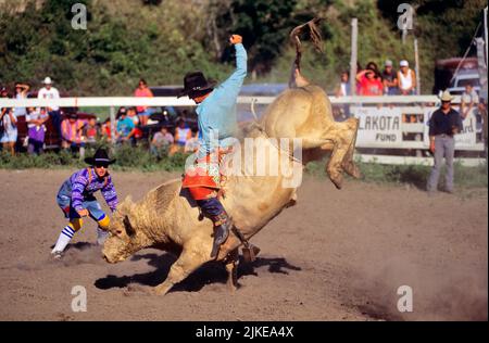 1990S NICHT IDENTIFIZIERTE MÄNNER COWBOY-KANDIDAT IN STIERREITEN VERANSTALTUNG UND SICHERHEIT CLOWN BEI LOKALEN RODEO SOUTH DAKOTA USA - KH11900 RWN001 HARS BALANCE SAFETY RIDE WETTKAMPF WILDER WEST-ATHLET RODEO WEAR LIFESTYLE FEIER LÄNDLICHER GROWNUP GESUNDHEIT GANZKÖRPERFITNESS PERSONEN GEFAHR MÄNNER RISKIEREN WESTERN ATHLETIC DAKOTA ENTERTAINMENT CONFIDENCE HAZARD CLOWNS COWBOYS ZIELE PERFORMING ARTS WEITWINKEL GEFAHREN REITER AKTIVITÄT SÄUGETIERE WELLNESS WILD WEST ABENTEUER GEFÄHRLICHER SCHUTZ STÄRKE MUT REITER AUFREGUNG KRAFTVOLLE ERHOLUNG STOLZ RISKANT LIMBER GEFÄHRLICHE BERUFE SÜDEN Stockfoto