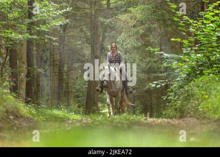 Hacking ein Pferd im Sommer im Freien: Eine Reiterin reitet ihr weißes arabisches Pferd auf einem Waldweg; konzentrieren Sie sich auf das Pferd Stockfoto