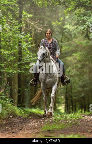 Hacking ein Pferd im Sommer im Freien: Eine Reiterin reitet ihr weißes arabisches Pferd auf einem Waldweg; konzentrieren Sie sich auf das Pferd Stockfoto