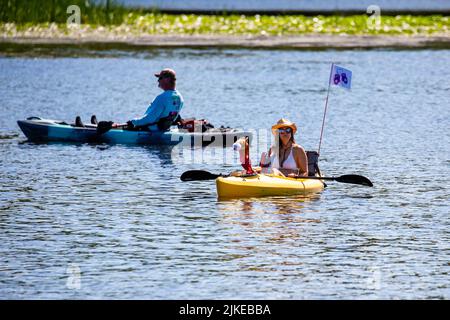 Wausau, Wisconsin, USA, Juli 30, 2022: 8. jährliches Paddle Pub Crawl auf dem Lake Wausau und dem Wisconsin River, genießen Kajakfahrer die Samstagsveranstaltung mit Be Stockfoto