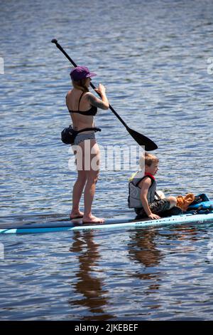 Wausau, Wisconsin, USA, Juli 30, 2022: 8. jährliches Paddle Pub Crawl auf dem Lake Wausau und dem Wisconsin River, genießen Kajakfahrer die Samstagsveranstaltung mit Be Stockfoto