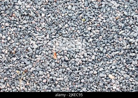 Kleiner Bereich mit hellgrauem Korn in Nahaufnahme, aufgenommen in der Draufsicht. Stockfoto