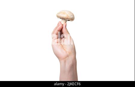 Champignon-Gemüse in der Hand isoliert auf weißem Hintergrund Stockfoto